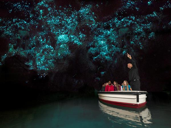Waitomo Glowworm Caves
Distinction Hamilton Hotel & Conference Centre
