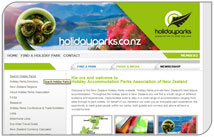 HAPNZ Website sees a double in visitors since going live!