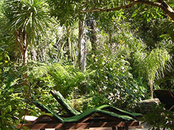 __TestService11121
Test Supplier's DPS