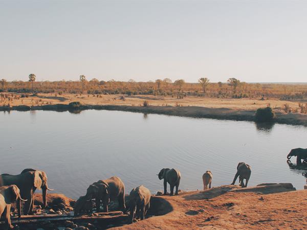 Zimbabwean Walking and Canoeing Safari
PNG Trekking Adventures - Zimbabwe
