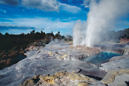Rotorua - Whakarewarewa Geothermal And Maori Cultural Highlights
NZ Shore Excursions
