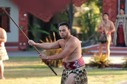 Rotorua -TEPUIA Geothermal & Maori Cultural Highlights
NZ Shore Excursions