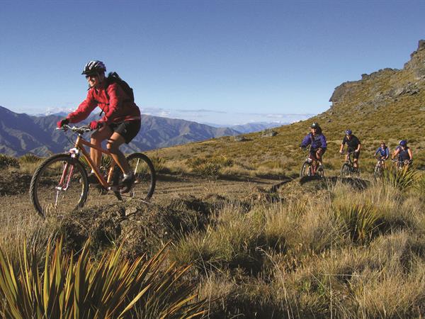Wanaka Mountain Biking
Distinction Wanaka Alpine Resort