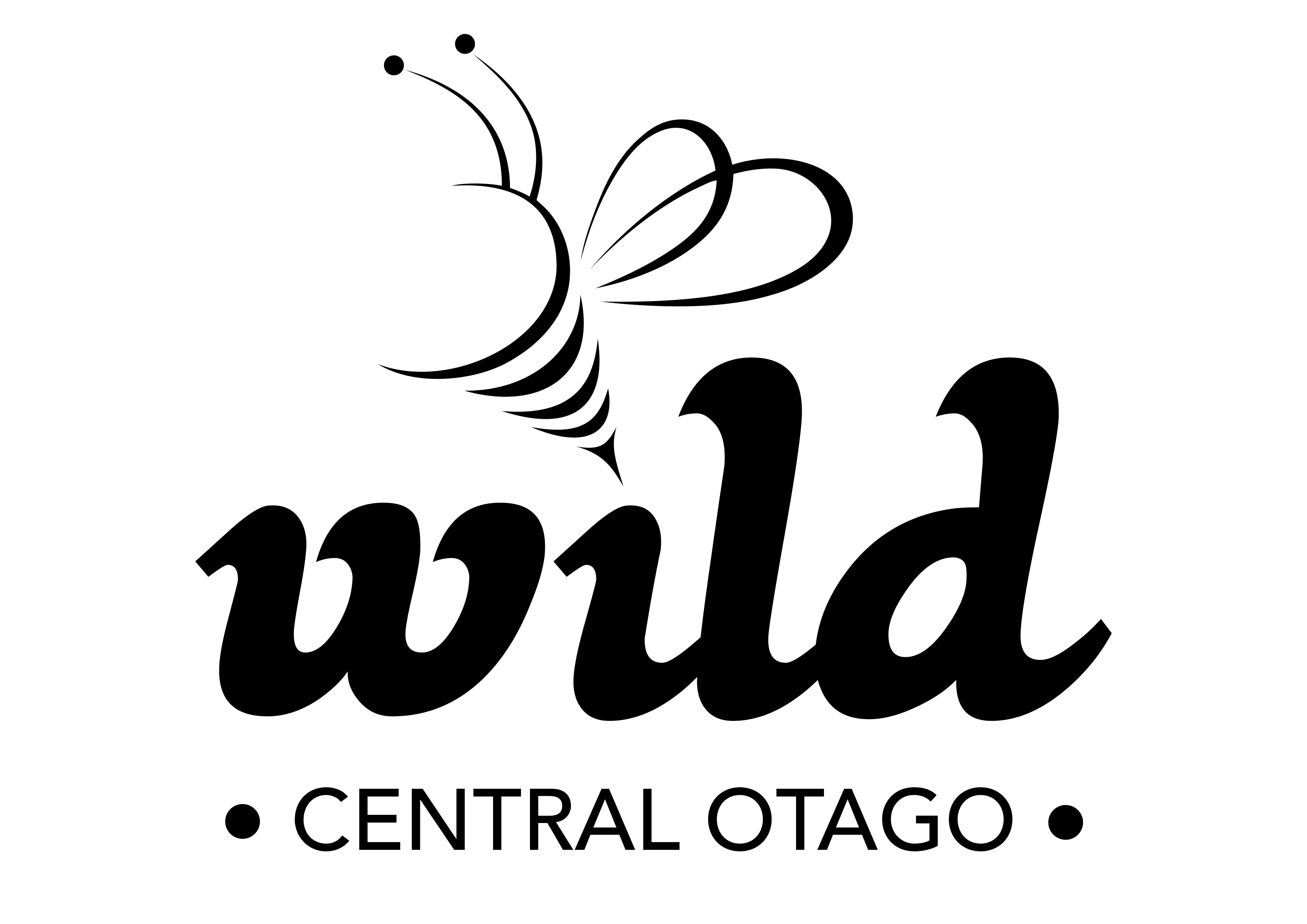 
Wild Central Otago Honey