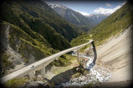 Private Vehicle Charter
NZ Shore Excursions